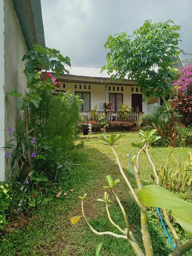 Tiu Kelep Homestay Senaru Exterior foto