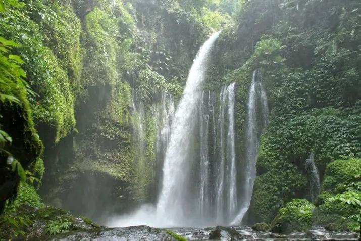 Tiu Kelep Homestay Senaru Exterior foto