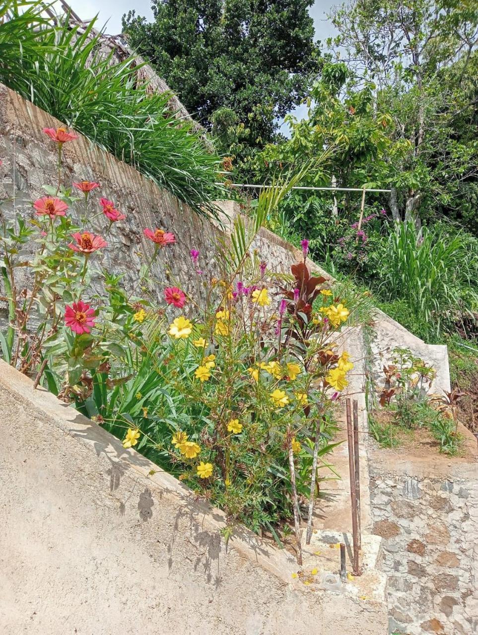 Tiu Kelep Homestay Senaru Exterior foto
